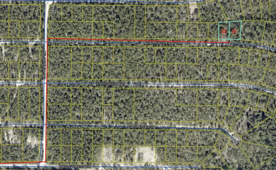 lot 28-29 E Black Cherry Drive, Defuniak Springs, FL 32433 - Image #2