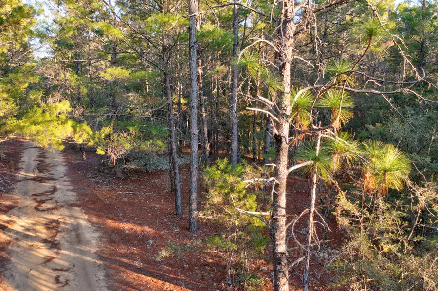 .92 Duke Drive, Defuniak Springs, FL 32433 - Image #3