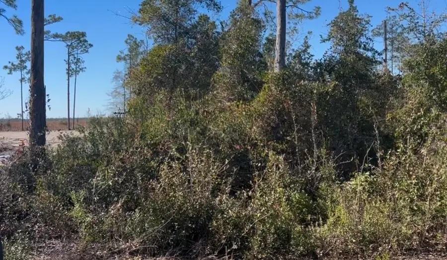 0 N Patrick Street, Port Saint Joe, FL 32456 - Image #3