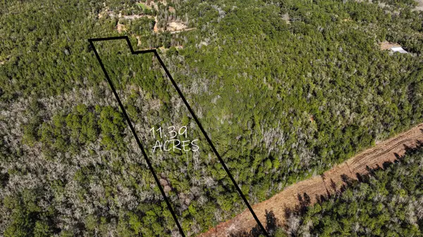 TBD Moccasin Forks Road, Ponce De Leon, FL 32455