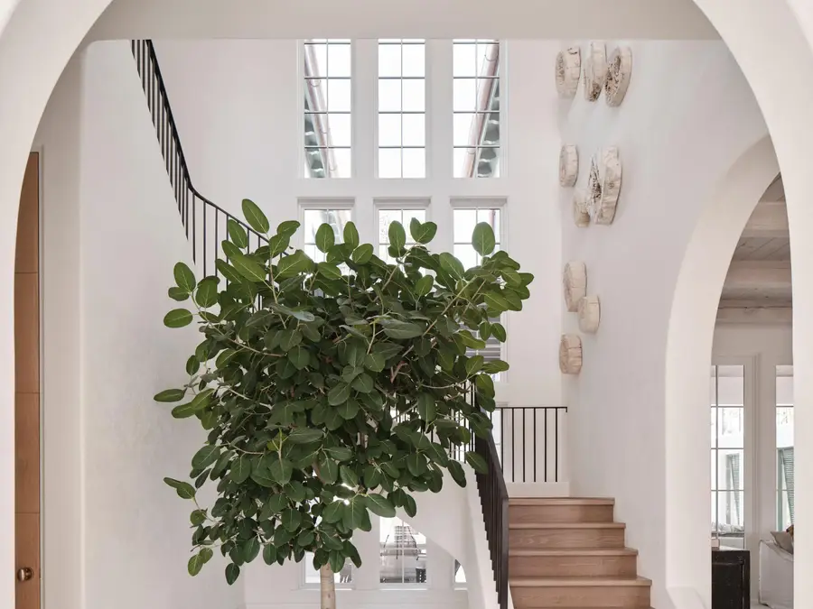 117 Featherbed Aly, Inlet Beach, FL 32461 - Image #2