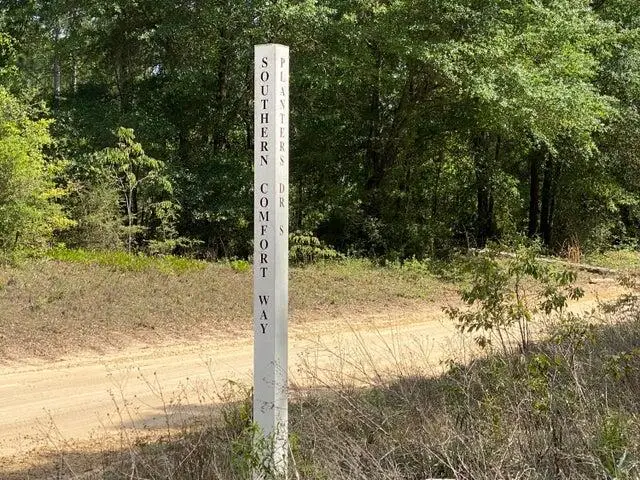 TBD Southern Comfort Way, Laurel Hill, FL 32567 - #3