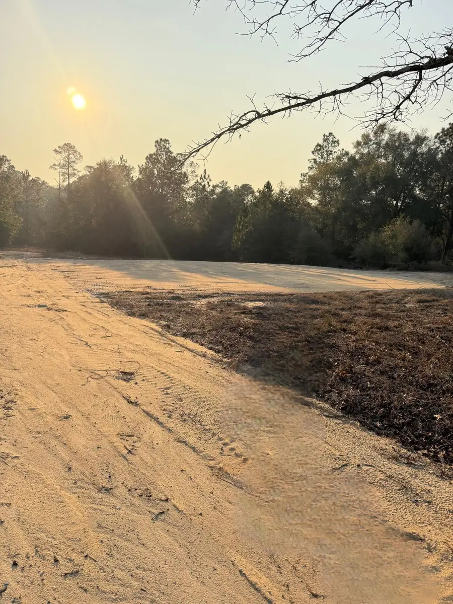 3842 Bear Head Road, Crestview, FL 32539 - Image #2