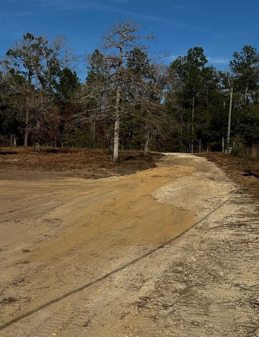 3842 Bear Head Road, Crestview, FL 32539 - Image #3