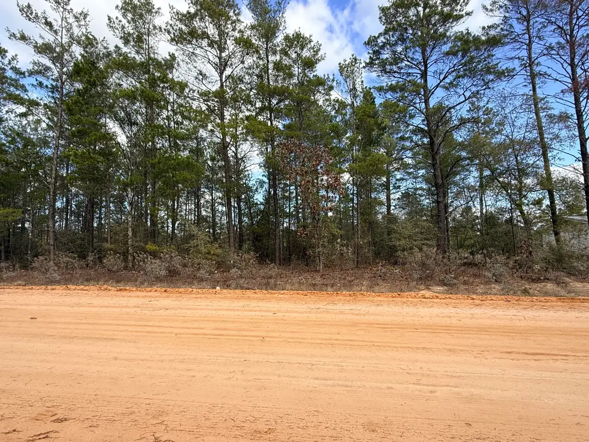 Lot 2 Blk 8 On E Violet Lane, Defuniak Springs, FL 32433 - Image #1