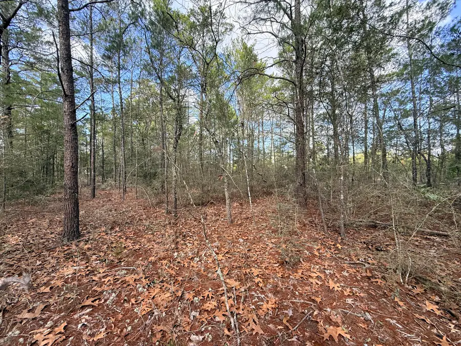 Lot 2 Blk 8 On E Violet Lane, Defuniak Springs, FL 32433 - Image #3