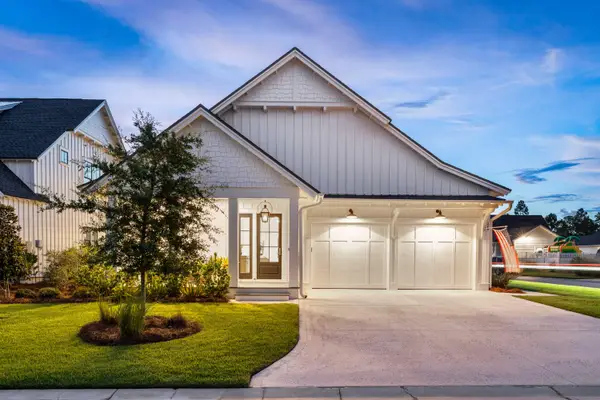 289 Catface Drive, Inlet Beach, FL 32461