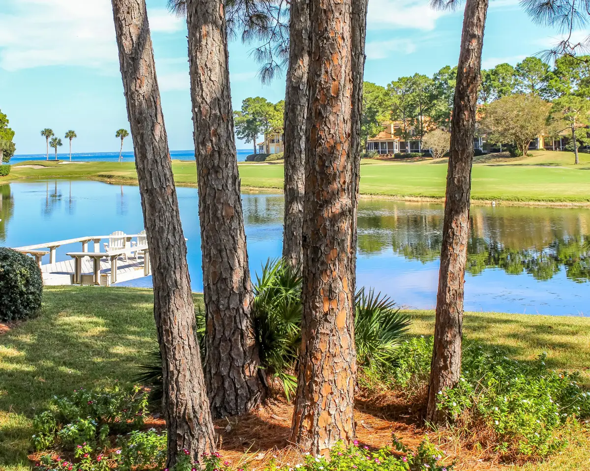 176 Cove Drive, Miramar Beach, FL 32550 - Image #1