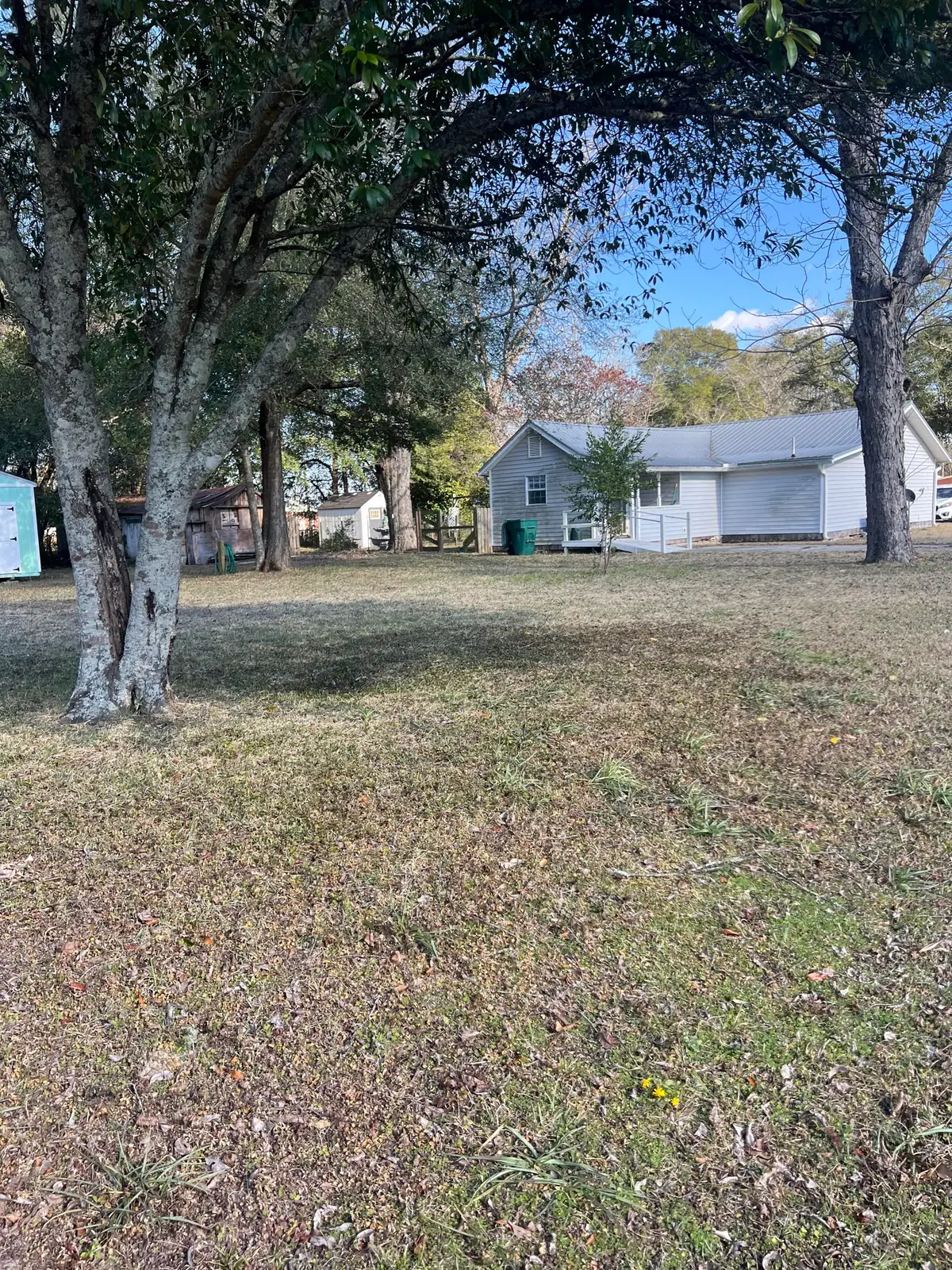 164 S 21st Street, Defuniak Springs, FL 32435 - Image #1