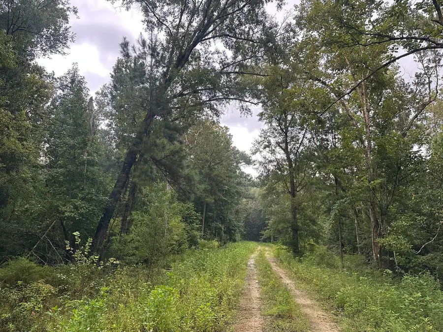 210 Riverside Circle, Wewahitchka, FL 32465 - #2