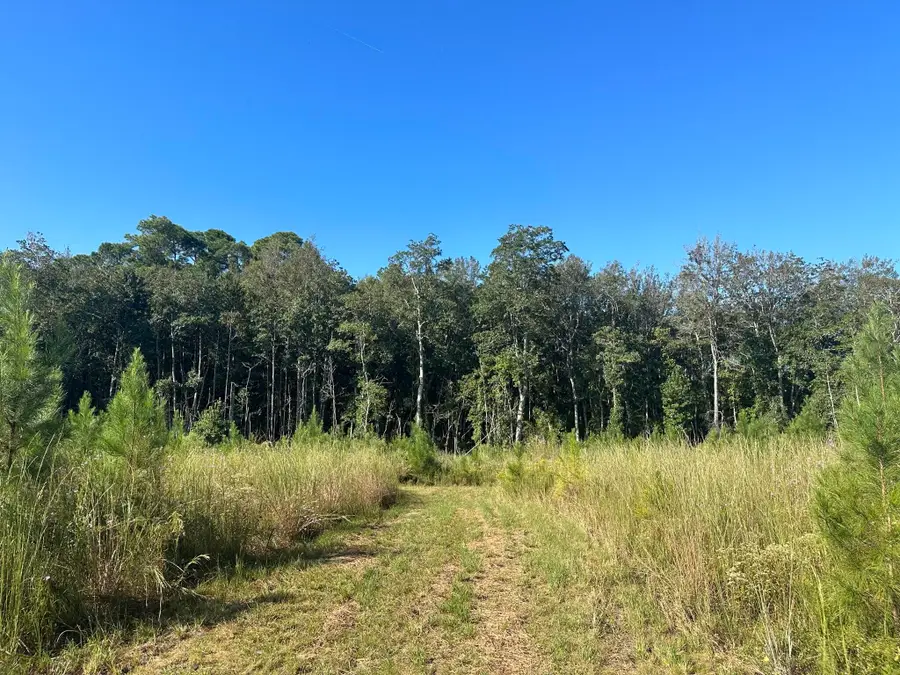 B & D Millside Road, Laurel Hill, FL 32567 - #2