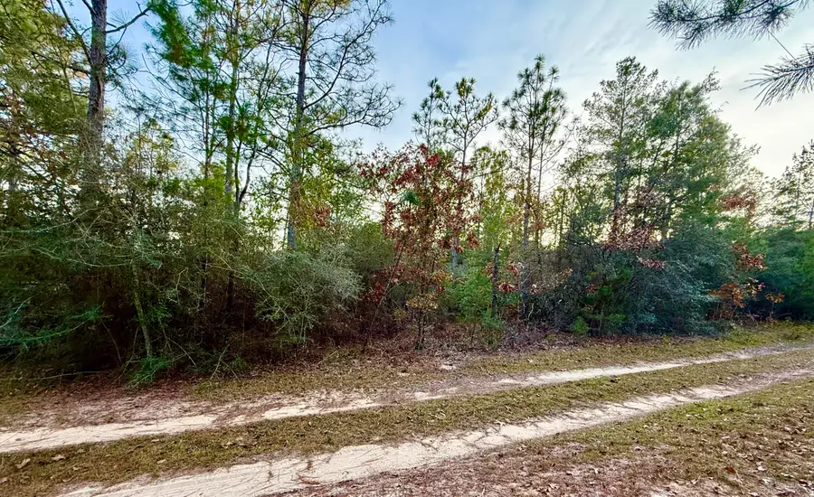 Lots 9-11 Tangerine & Lot 2 Girl Scout, Defuniak Springs, FL 32433 - Image #3