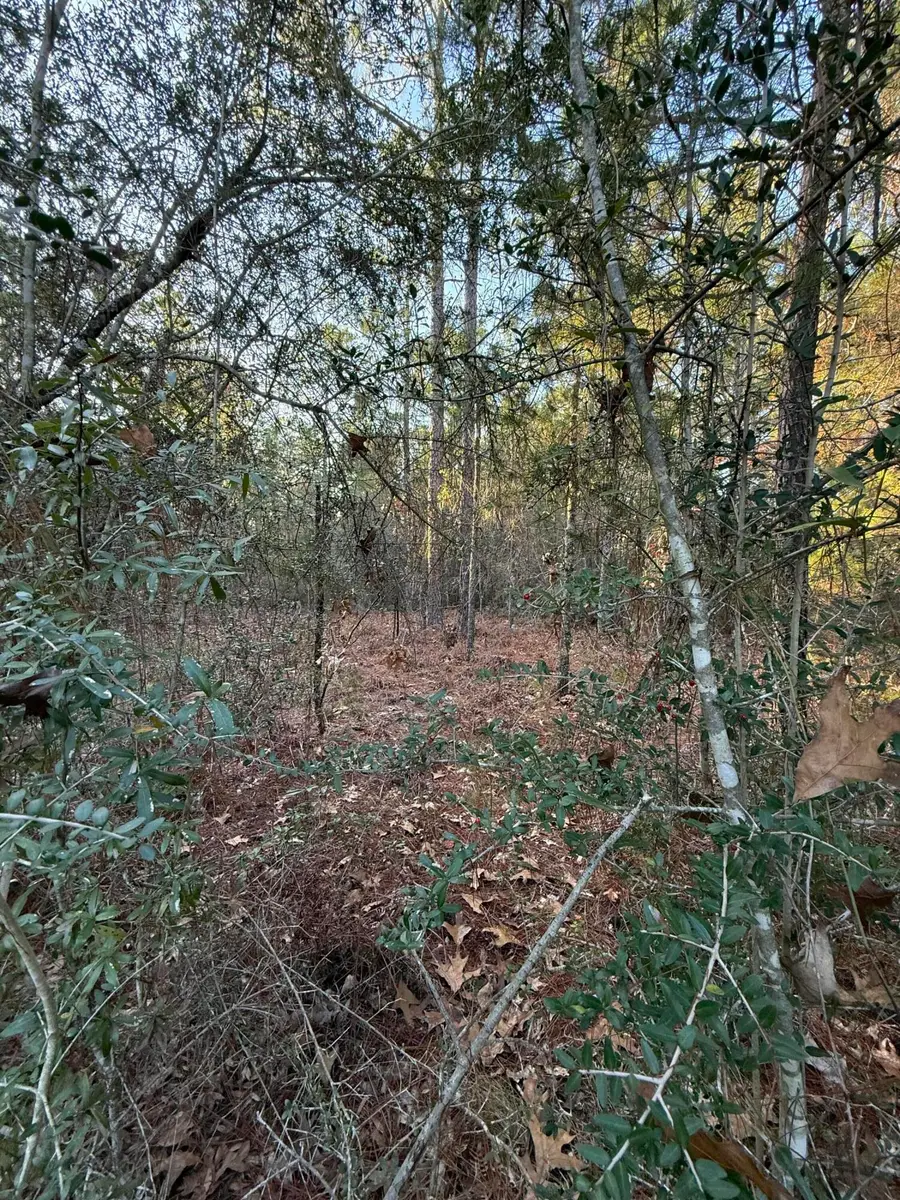 Lot 5 Blk 54 On Forest Lane, Defuniak Springs, FL 32433 - #3