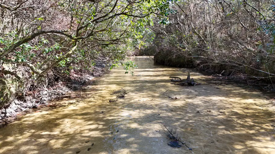 4857 W County Hwy 181, Defuniak Springs, FL 32433 - #2