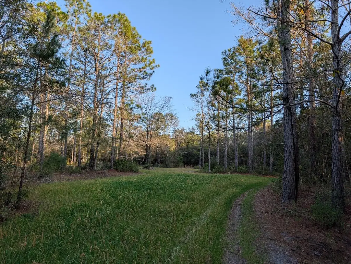 TBD Sowell Drive, Crestview, FL 32539 - #1