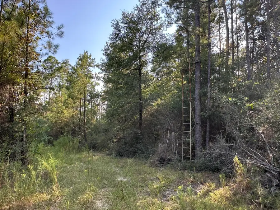 B & C New Ebenezer Road, Laurel Hill, FL 32567 - #2