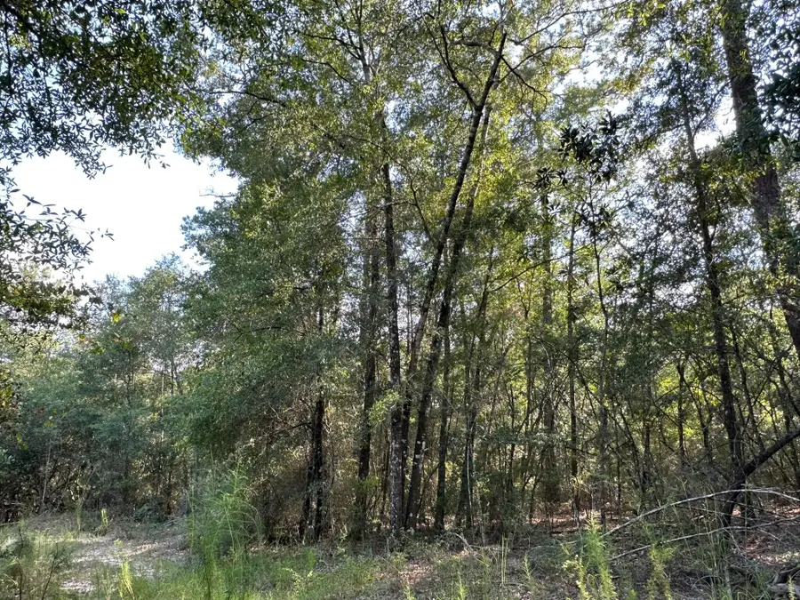 B & C New Ebenezer Road, Laurel Hill, FL 32567 - #3