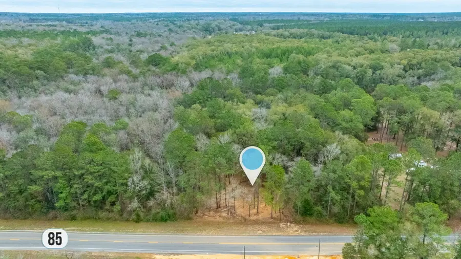 XX State Highway 85, Laurel Hill, FL 32567 - #2