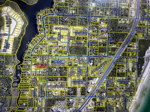 291 E Pinewood Lane, Inlet Beach, FL 32461