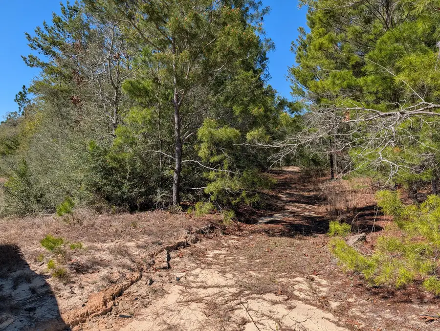 TBD Willow Bend Drive, Defuniak Springs, FL 32433 - #2
