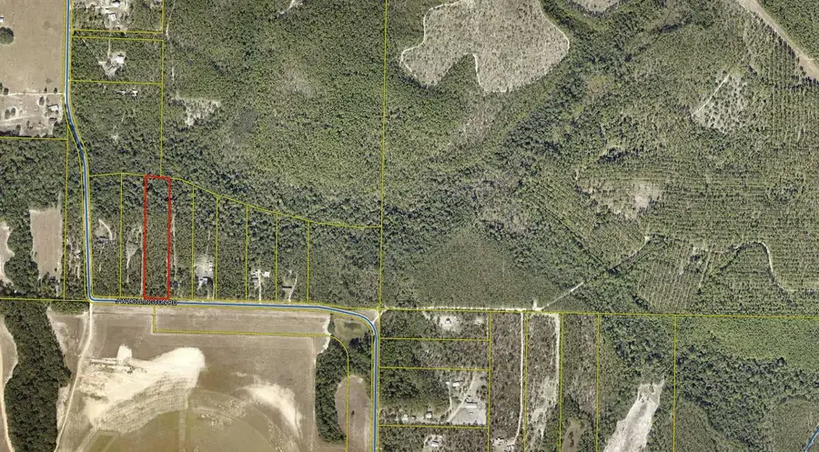 5 acres J W Hollington Road, Freeport, FL 32439 - #3
