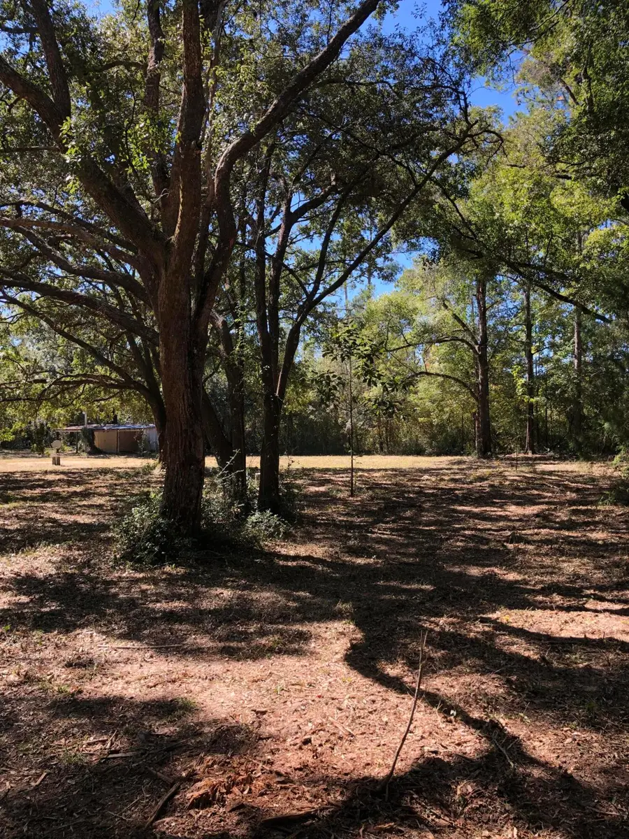 27 Shaver Avenue, Ponce De Leon, FL 32455 - #3