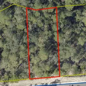 TBD Spirit Bear Way #Lot 38, Blk C, Freeport, FL 32439 - #2
