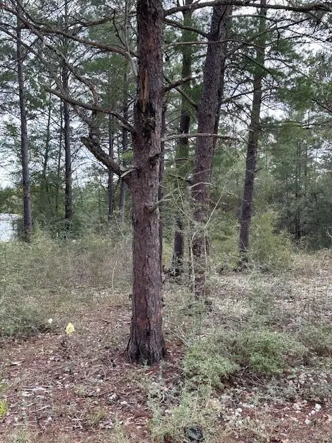 Lot 9 E Fernwood Court, Defuniak Springs, FL 32433 - #3
