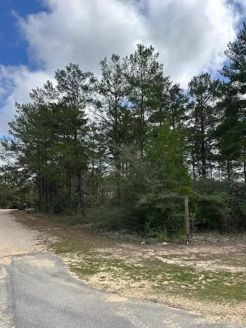lot 10 E Fernwood Court, Walton, FL 32434 - #1