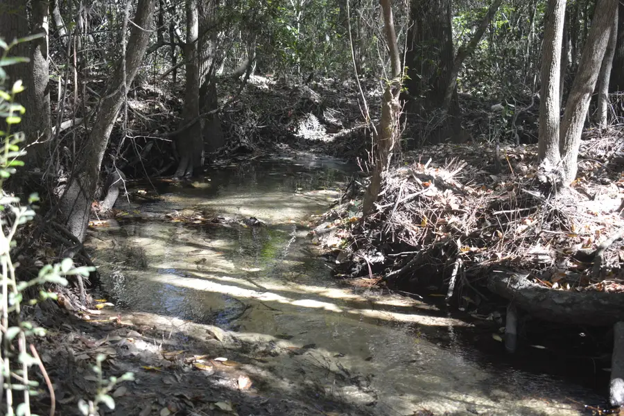 2928 Aplin (32 Ac.) Road, Crestview, FL 32539 - #3