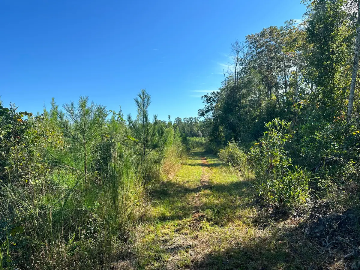 Parcel D1 Millside, Laurel Hill, FL 32567 - #1