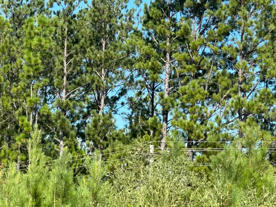 Parcel D1 Millside, Laurel Hill, FL 32567 - #3