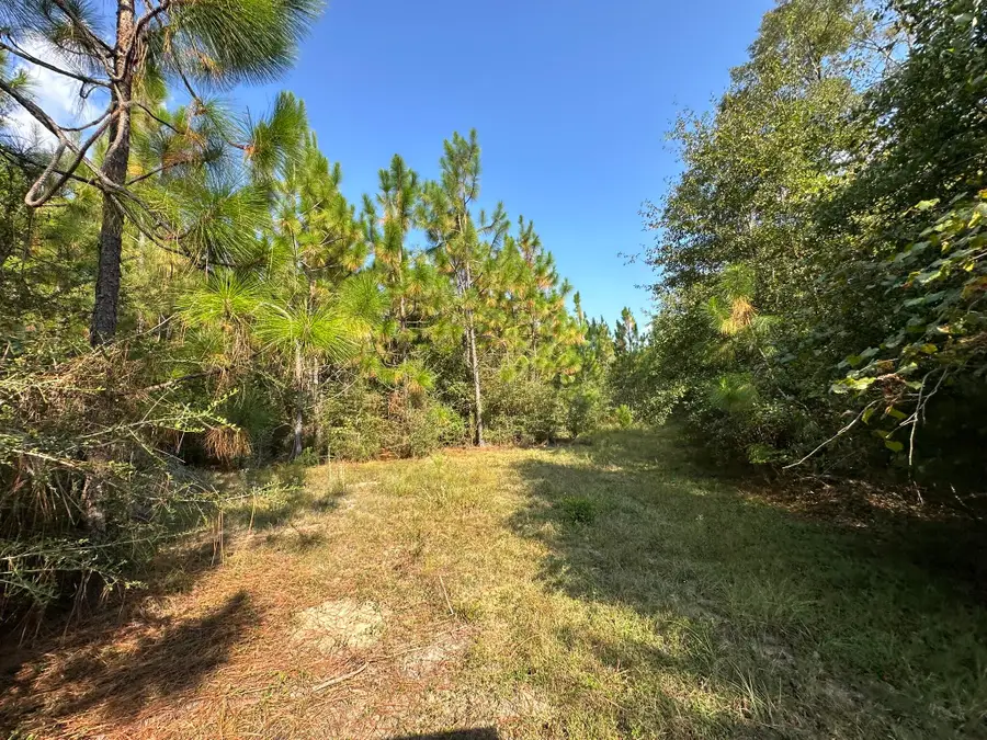 A, B, & C New Ebenezer Road, Laurel Hill, FL 32567 - #3