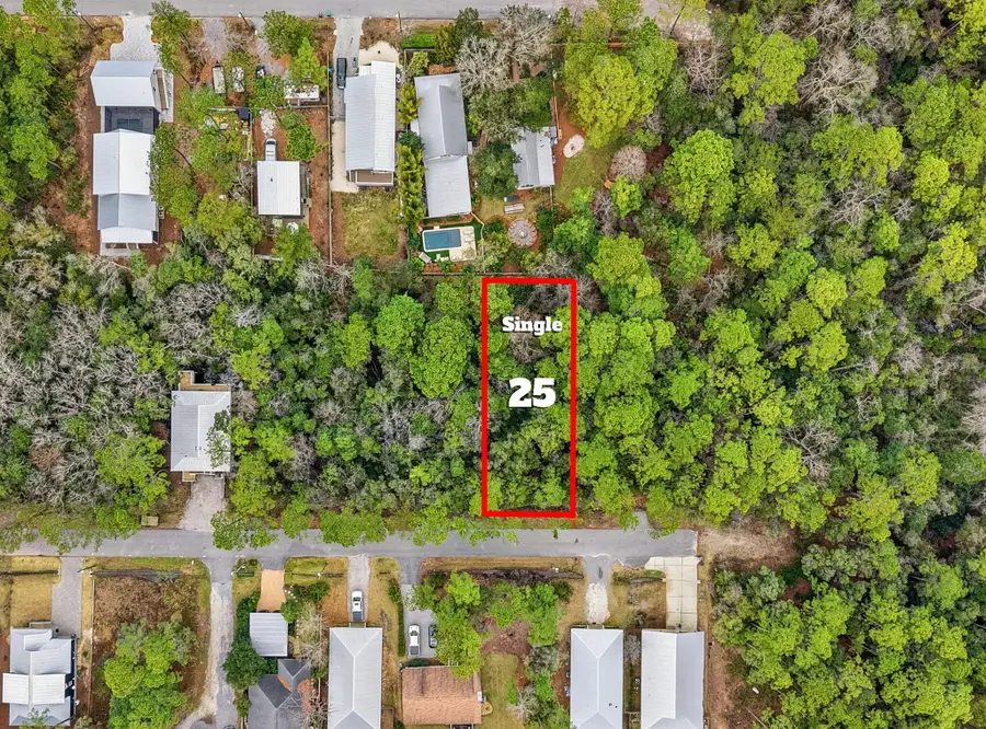 Lot 25 E. Wild Blueberry Way #Lot 25, Point Washington, FL 32459 - #3