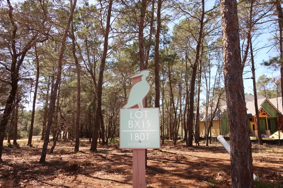 1801 Lost Cove Lane, Panama City Beach, FL 32413 - #2