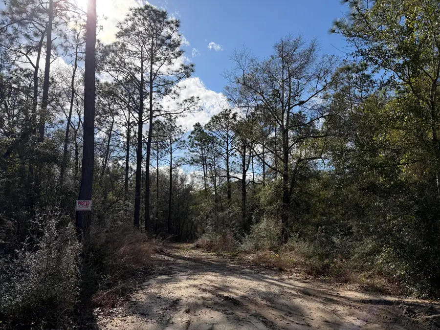 0 Bear Head Road, Crestview, FL 32539 - #3