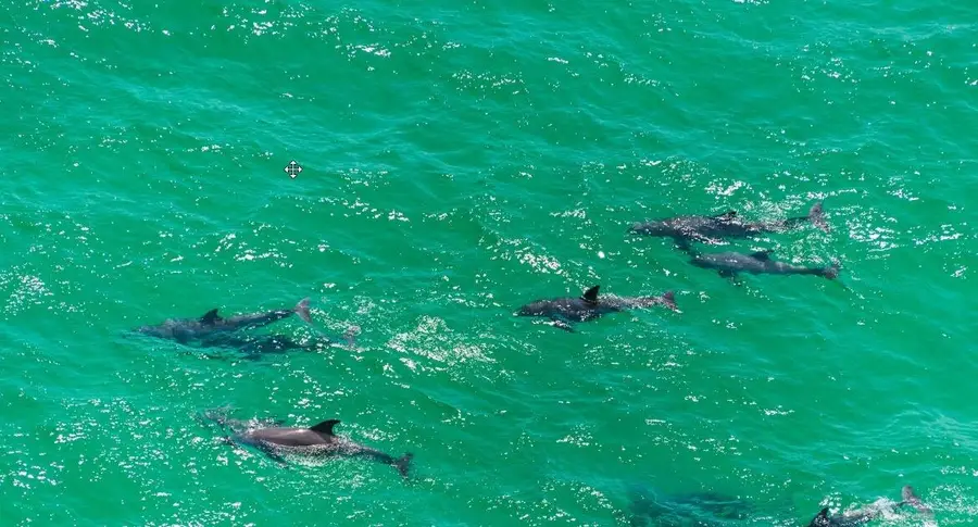 485 Wood Beach Drive, Santa Rosa Beach, FL 32459 - #2