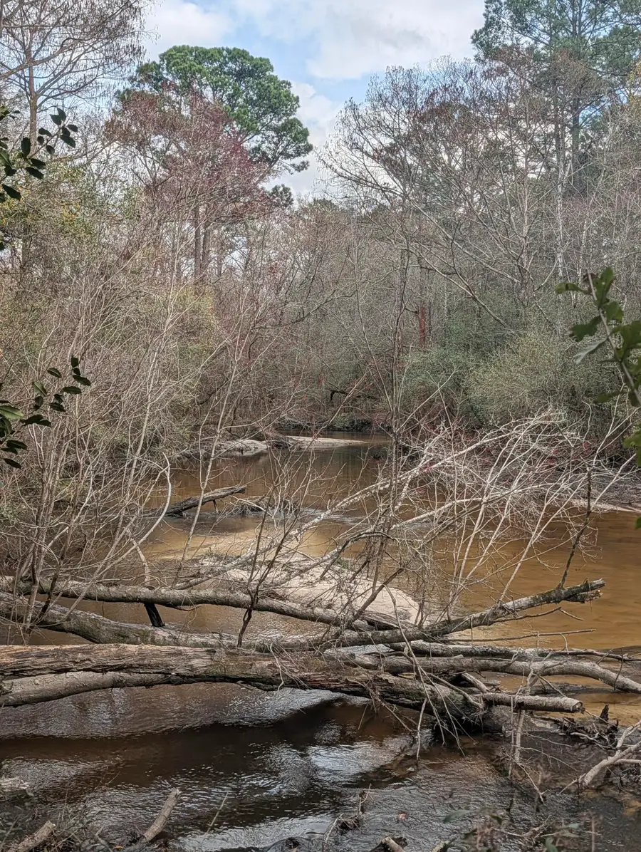 Lot 9 Plantation Lane, Defuniak Springs, FL 32433 - #2