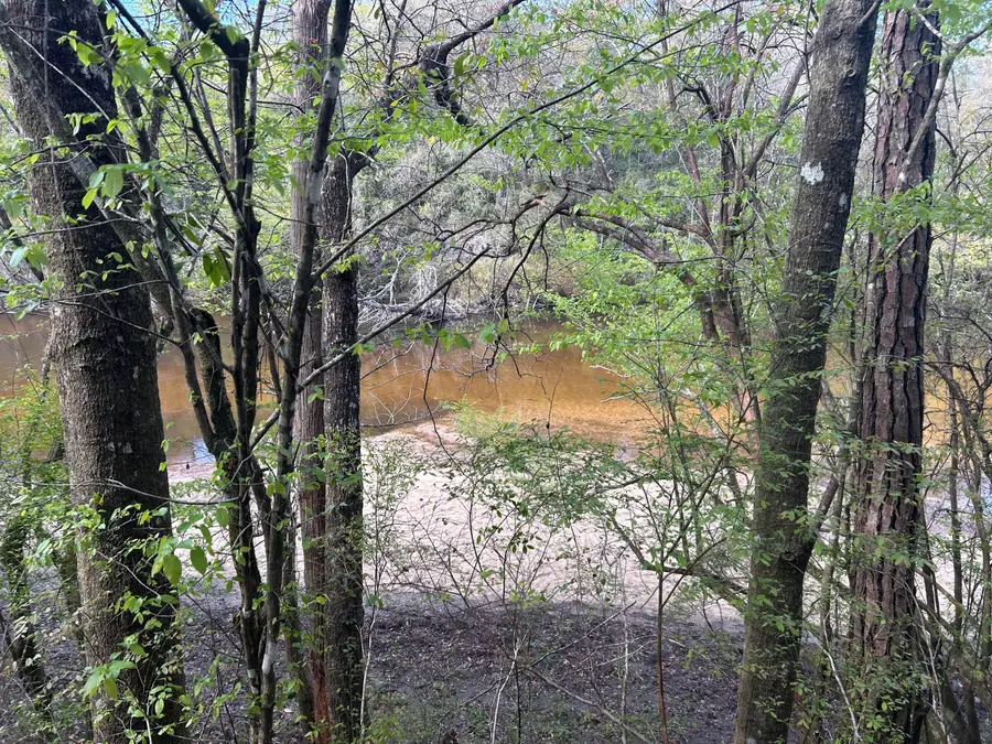 0 Ryan Road, Crestview, FL 32539 - #3