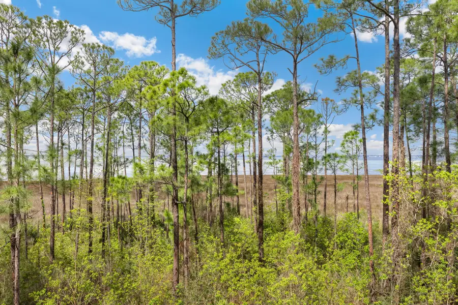 9700 Grand Sandestin Boulevard #4218/4220, Miramar Beach, FL 32550 - #3