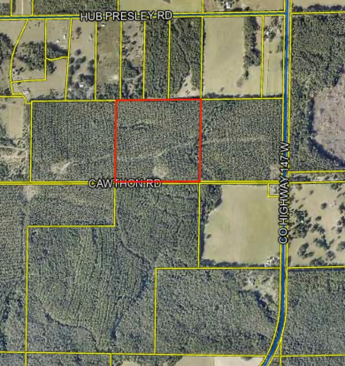 XX Cawthon Road, Laurel Hill, FL 32567 - #1