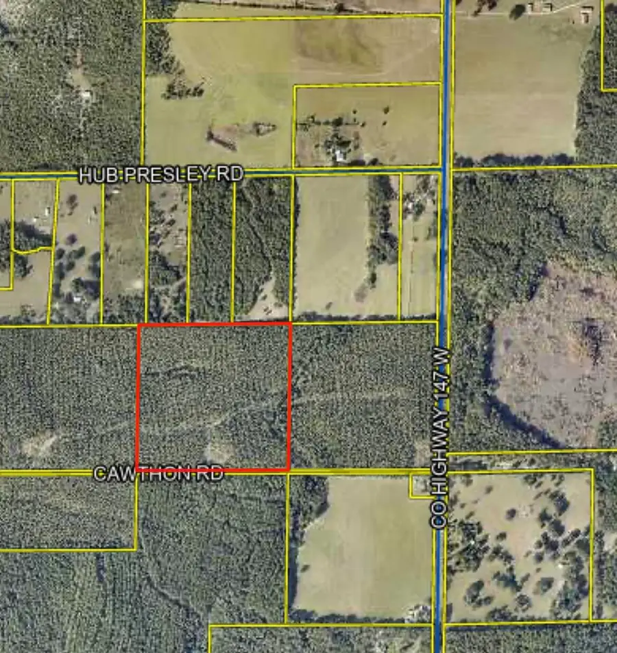 XX Cawthon Road, Laurel Hill, FL 32567 - #2