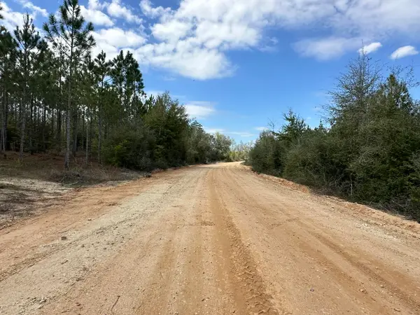 Tract#6418 Mattox Springs Road #S2, Caryville, FL 32427