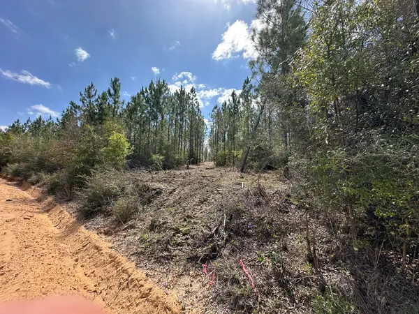 Tract#6418 Mattox Springs #South 3, Caryville, FL 32427