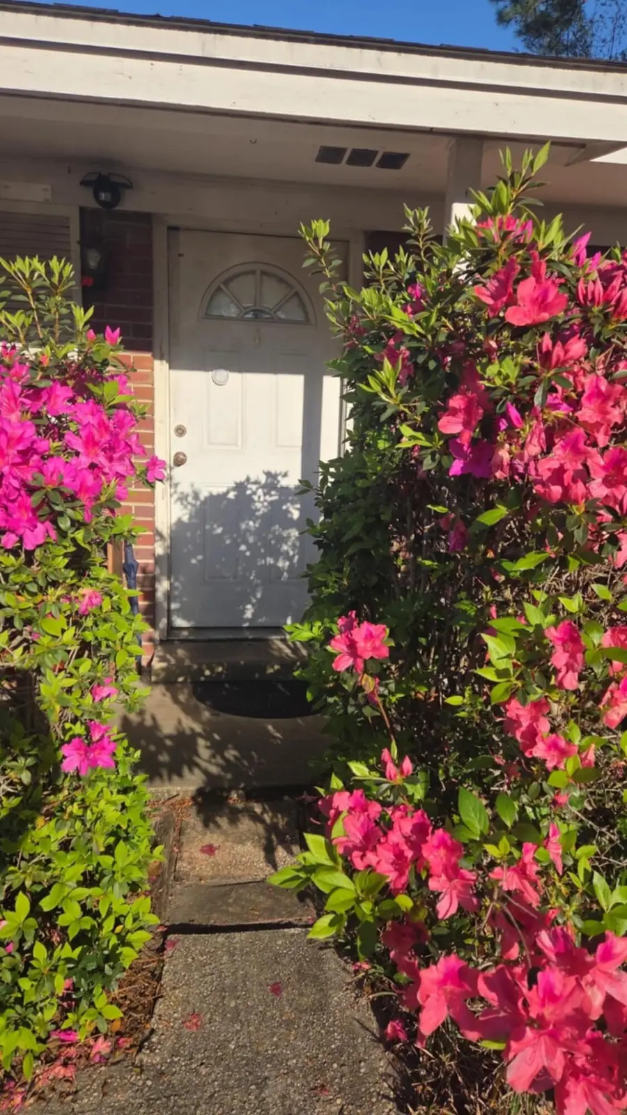 224 SW Deluna Road, Fort Walton Beach, FL 32548 - #2