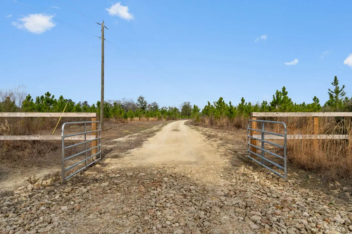 81 Acres Show Horse Way, Laurel Hill, FL 32567 - #1