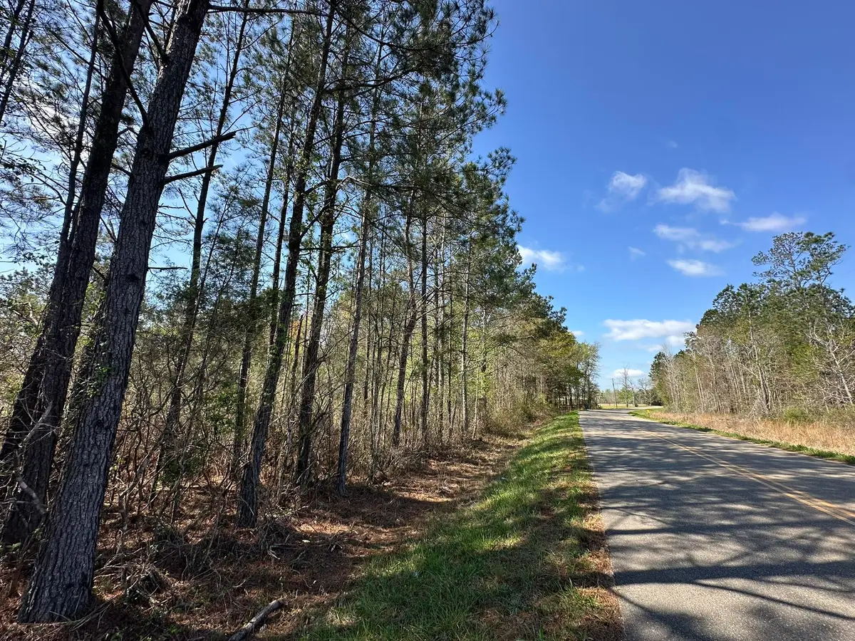 Lot A Snider Avenue, Other, AL 00N/A - #1