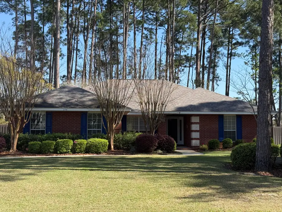 394 Driftwood Point Road, Santa Rosa Beach, FL 32459 - #2