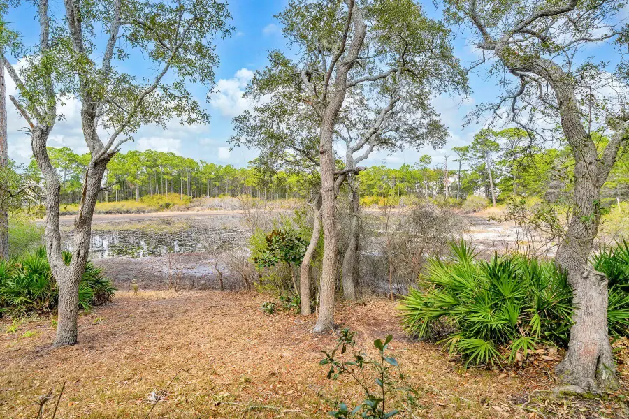 115 Satinwood & Lot 18 Gov Sd Drive, Santa Rosa Beach, FL 32459 - #3