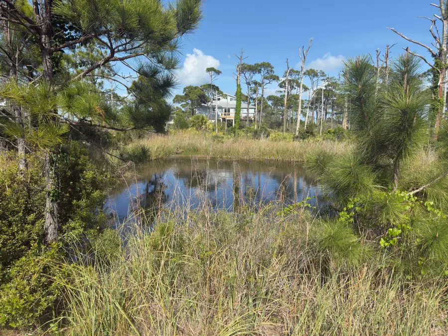 TBD Cape San Blas Road, Cape San Blas, FL 32456 - #3
